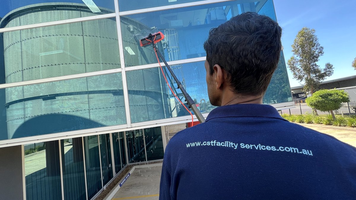 Professional Window Cleaning